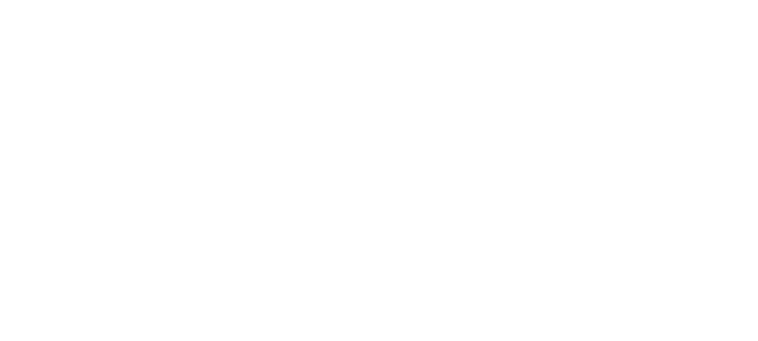 FirGroup Logo